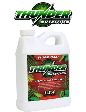 Thunder Bloom Thunder Bloom