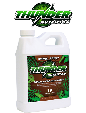 Thunder Amino Boost