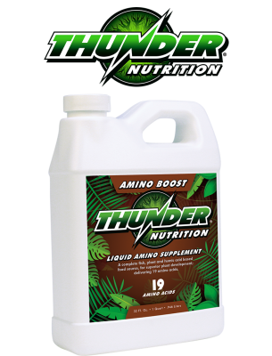 Thunder Amino Boost