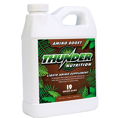 Thunder Amino Boost