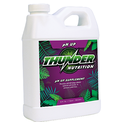 Thunder pH Up